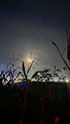 Stalker Farms- Haunted Attractions (Stocker Farms) by null