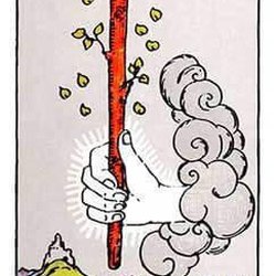 Colorado Springs Tarot - Take your fate and work to realize it