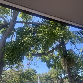 Shorehouse Kitchen - Outside scenery. - Breakfast & Brunch Near Me - Carlsbad, California