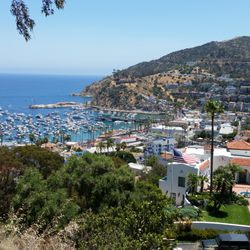 Catalina Outdoor Adventures