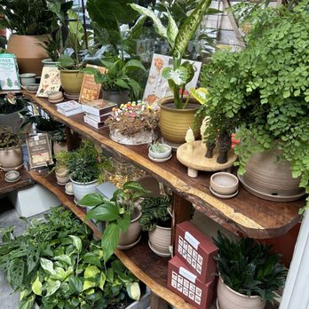 Flowerland Nursery - Nurseries & Gardening Near Me - Albany, California Flowerland Nursery - Nurseries & Gardening Near Me - Albany, California