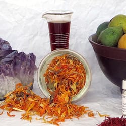 Divine Monkey Homeopathy
