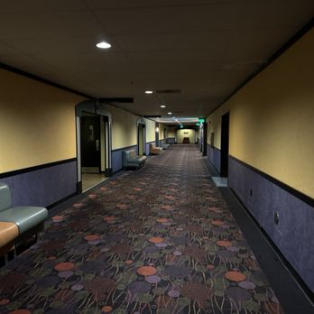 AMC Bradenton 20 - Showing the long hallways to get to the auditoriums - Cinema Near Me - Bradenton, Florida AMC Bradenton 20 - Showing the long hallways to get to the auditoriums - Cinema Near Me - Bradenton, Florida