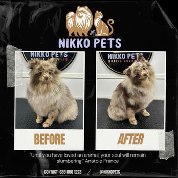 Nikko Pets Mobile Grooming - Pet Groomers Near Me Nikko Pets Mobile Grooming - Pet Groomers Near Me