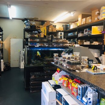 The Water Garden Center - Supplies for your pond and, uh, spiders?! - Local Fish Stores Near Me - Richmond, Virginia