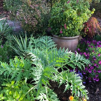 Bajascape - Landscaping Near Me