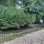 Photo of Woodhill Farms Nursery