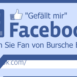 Bursche Brillen