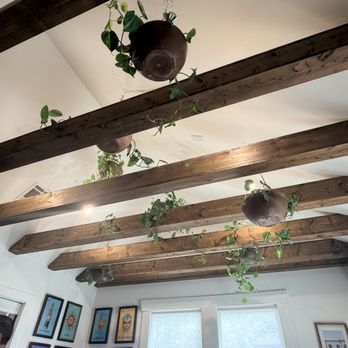 Cielito Cafe - Plants hanging from the rafters inside - Breakfast & Brunch Near Me - Houston, Texas
