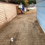 Photo of Marroquin Landscaping and Lawn Maintenance