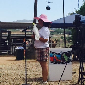 Oasis Camel Dairy - Bird Show. - Attraction Farms Near Me - Ramona, California Oasis Camel Dairy - Bird Show. - Attraction Farms Near Me - Ramona, California