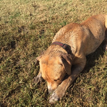 Redhawk Community Park - Dog Parks Near Me - Temecula, California
