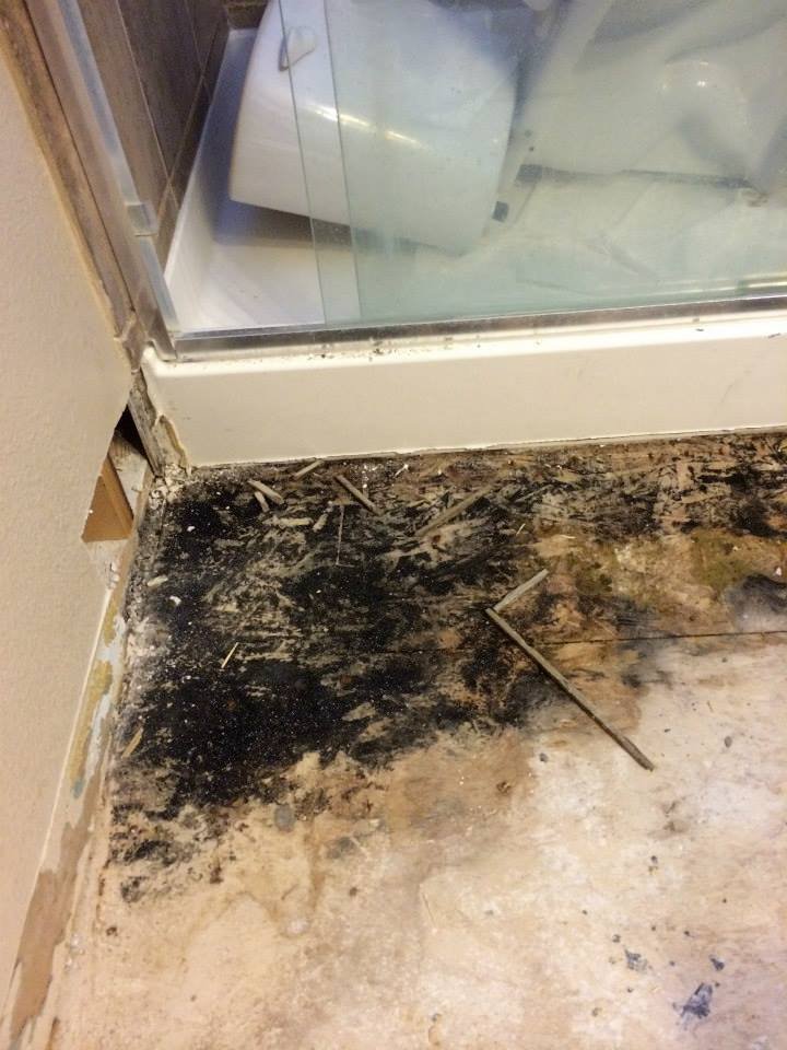 Enviro - mold inspector in Nampa, ID