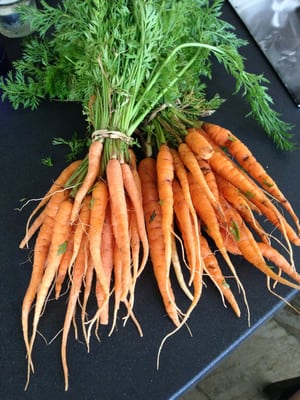 The Green Market at Piedmont Park by null