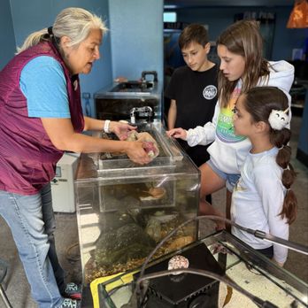 Central Coast Aquarium - Aquariums Near Me - Avila Beach, California Central Coast Aquarium - Aquariums Near Me - Avila Beach, California