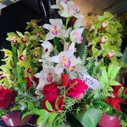 Sky Flowers