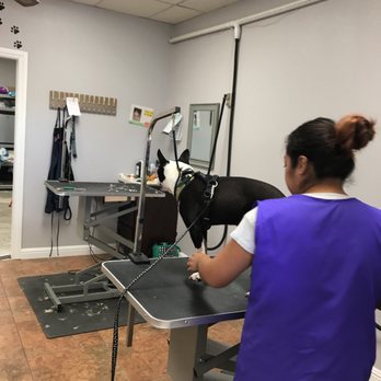 Bark Bath N' Beyond - Pet Groomers Near Me - Oceanside, California