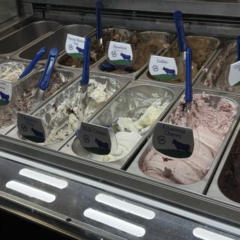 Gelato Cimmino - Gelato Near Me - Scottsdale, Arizona