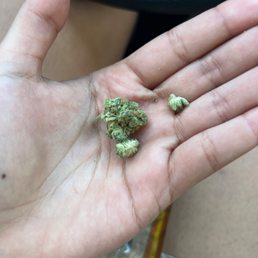 Dry ass weed Dry ass weed