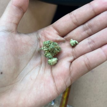 Green City Collective - Dry ass weed - Cannabis Collective Near Me - Playa Del Rey, California Green City Collective - Dry ass weed - Cannabis Collective Near Me - Playa Del Rey, California
