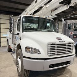 Steve Faulkner Ford