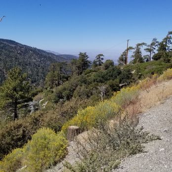 Grizzly Cafe - September Landscape Wrightwood Ca, - American Near Me - Wrightwood, California Grizzly Cafe - September Landscape Wrightwood Ca, - American Near Me - Wrightwood, California
