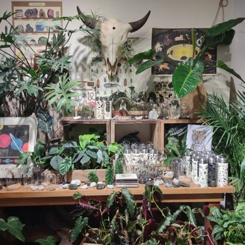Seed To Stem - Antiques Near Me - Worcester, Massachusetts