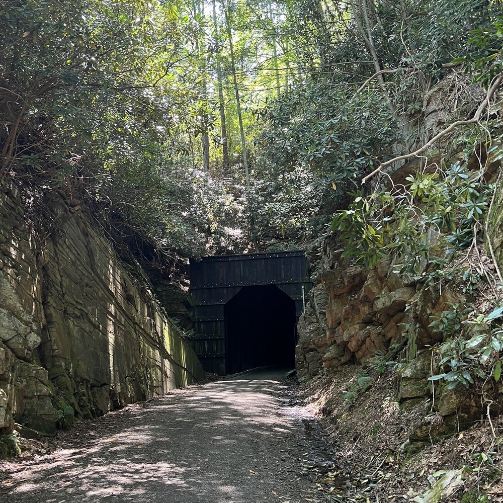 New River Trail State Park - Parks Near Me - Meadows, Virginia