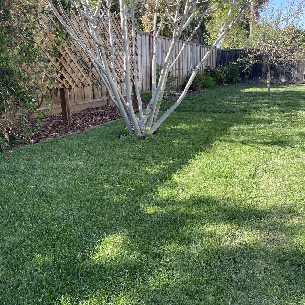 All Green Scape - Amazing new grass expansion meeting our previously installed grass - Landscaping Near Me