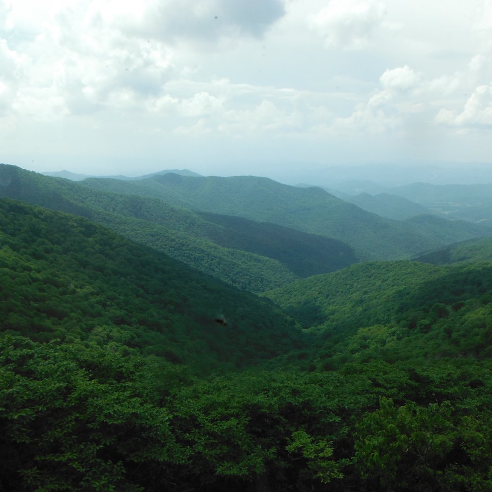 Craggy Gardens - Craggy Gardens - Hiking Near Me - Black Mountain, North Carolina Craggy Gardens - Craggy Gardens - Hiking Near Me - Black Mountain, North Carolina