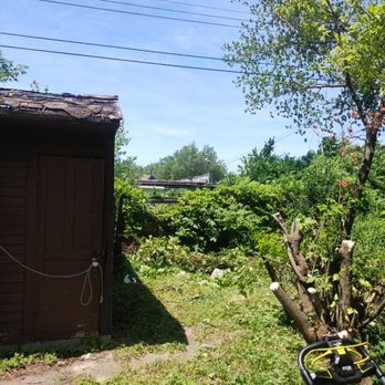 Jungle Landscaping - Lawn Services Near Me - Buffalo, New York