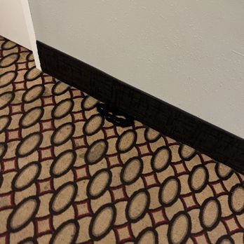 M Hotel Buffalo - Hotels Near Me - Buffalo, New York M Hotel Buffalo - Hotels Near Me - Buffalo, New York