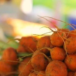 Horner Park Farmers Market