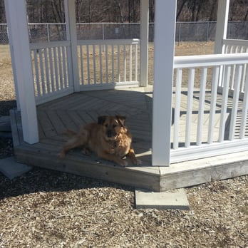 Robin's Garden & Dog Park - Enjoying the gazebo - Dog Parks Near Me - Lewiston, Maine Robin's Garden & Dog Park - Enjoying the gazebo - Dog Parks Near Me - Lewiston, Maine