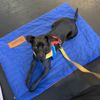 Zoom Room Dog Training gift card