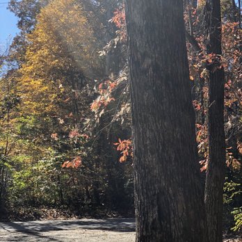 Pisgah National Forest - Hiking Near Me - Pisgah Forest, North Carolina