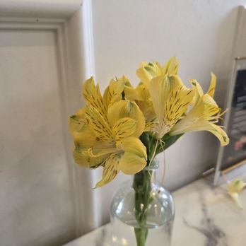 Burnt Orange - Breakfast & Brunch Near Me - Burnaby, British Columbia Burnt Orange - Breakfast & Brunch Near Me - Burnaby, British Columbia