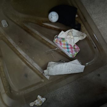 Pro Detail - What I pulled from under driver seat - Auto Detailing Near Me - Tucson, Arizona Pro Detail - What I pulled from under driver seat - Auto Detailing Near Me - Tucson, Arizona