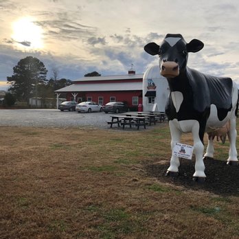 Mountain Fresh Creamery - Specialty Food Near Me - Clermont, Georgia