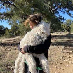 Second Nature Family Therapy