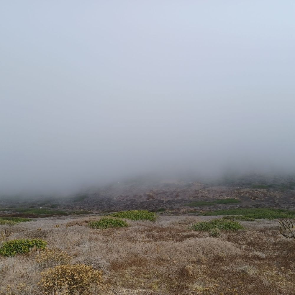 Bayside Trail - Fog covers the cliff. - Hiking Near Me - San Diego, California