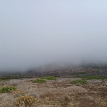Bayside Trail - Fog covers the cliff. - Hiking Near Me - San Diego, California Bayside Trail - Fog covers the cliff. - Hiking Near Me - San Diego, California