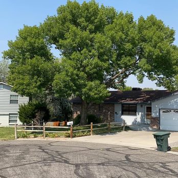 Grand Junction Trees - Ash trim she's looking good - Tree Services Near Me Grand Junction Trees - Ash trim she's looking good - Tree Services Near Me