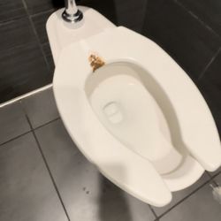 McDonald's - Poop on toilet