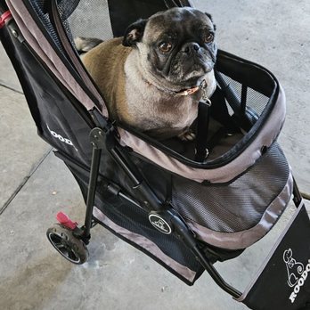 Trendz Outlet - Roodo Stroller for my baby girl! - Wholesale Stores Near Me - Walnut, California
