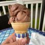 Photo of Suzy's Sips and Scoops