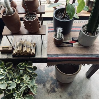 Nylo Wool - Plants & Palo Santo, vintage planters, vintage homegoods - Used, Vintage & Consignment Near Me - Dallas, Texas Nylo Wool - Plants & Palo Santo, vintage planters, vintage homegoods - Used, Vintage & Consignment Near Me - Dallas, Texas