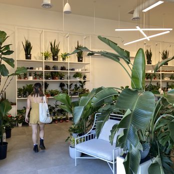 Plants by Post - Nurseries & Gardening Near Me - Campbell, California