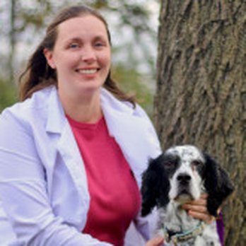 Ada Hospital For Animals - Dr. Kate Lam - Veterinarians Near Me - Ada, Michigan Ada Hospital For Animals - Dr. Kate Lam - Veterinarians Near Me - Ada, Michigan