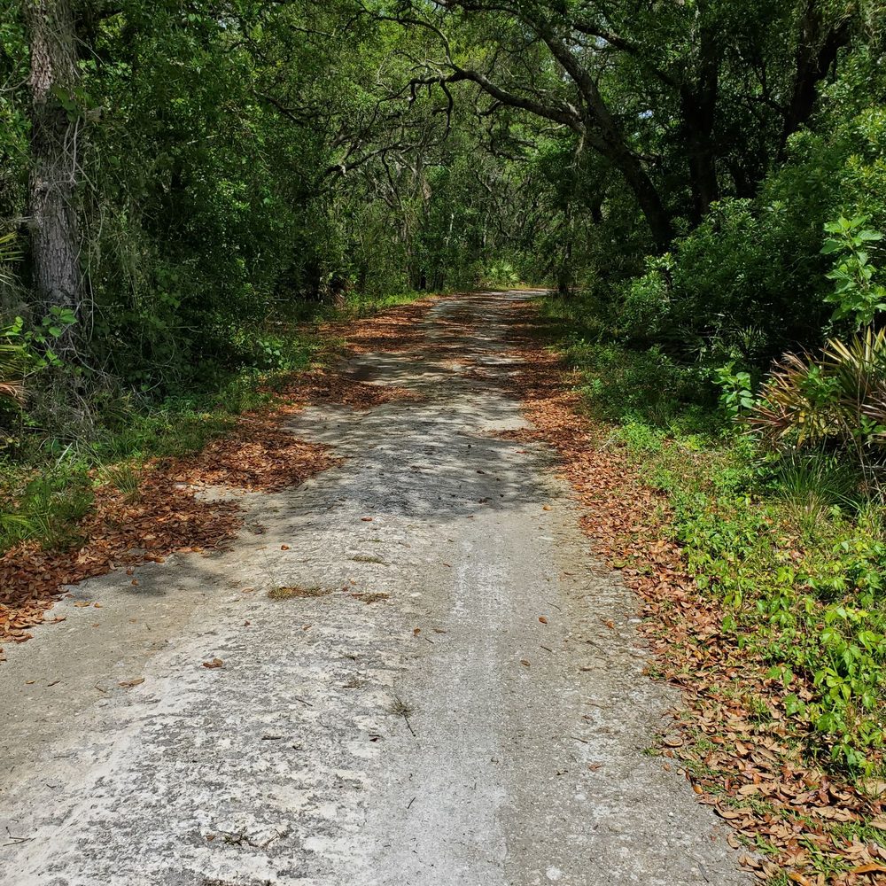 Serenova Tract - April 2020 - Parks Near Me - Land O Lakes, Florida Serenova Tract - April 2020 - Parks Near Me - Land O Lakes, Florida